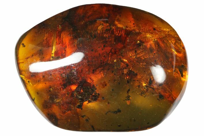 Polished Chiapas Amber ( g) - Mexico #114889